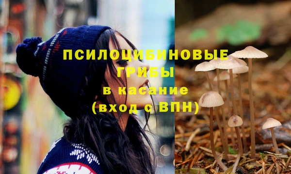трава Козельск