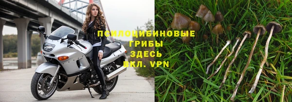трава Козельск