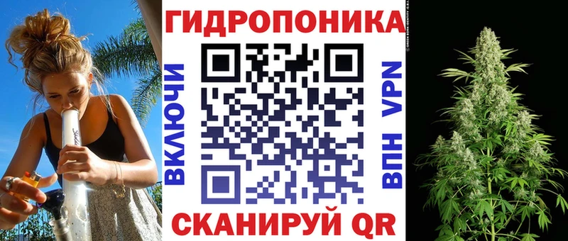 Марихуана Amnesia  Купить где  Выборг 